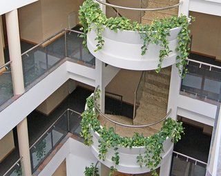 Piren Hotel 4*